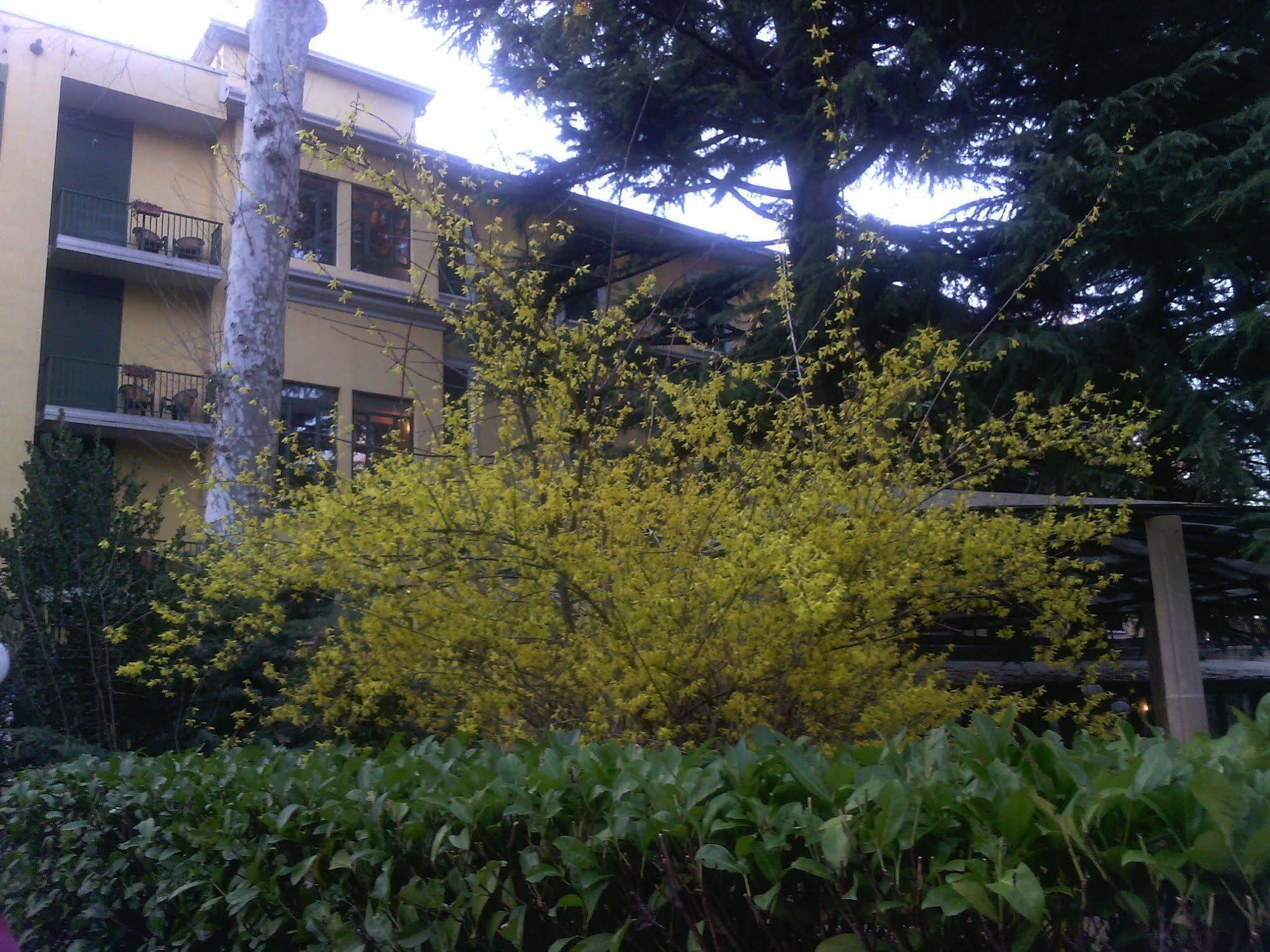 סליצ'ה טרמה Hotel Salus מראה חיצוני תמונה